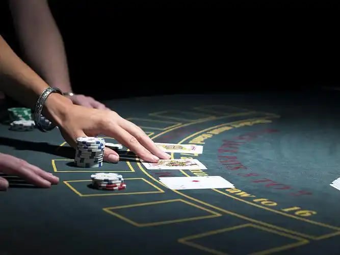 811bet5 811bet5